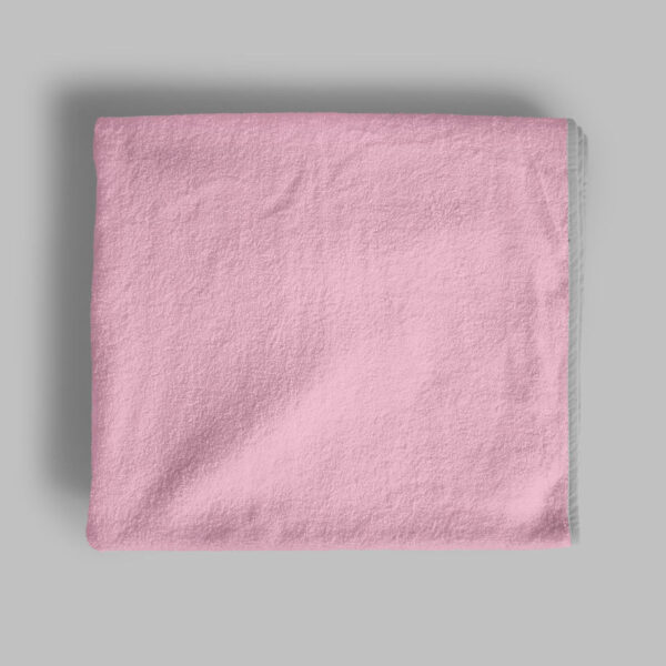Sed nec lacus
